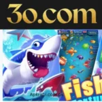 3o Game