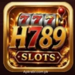 H789 Game